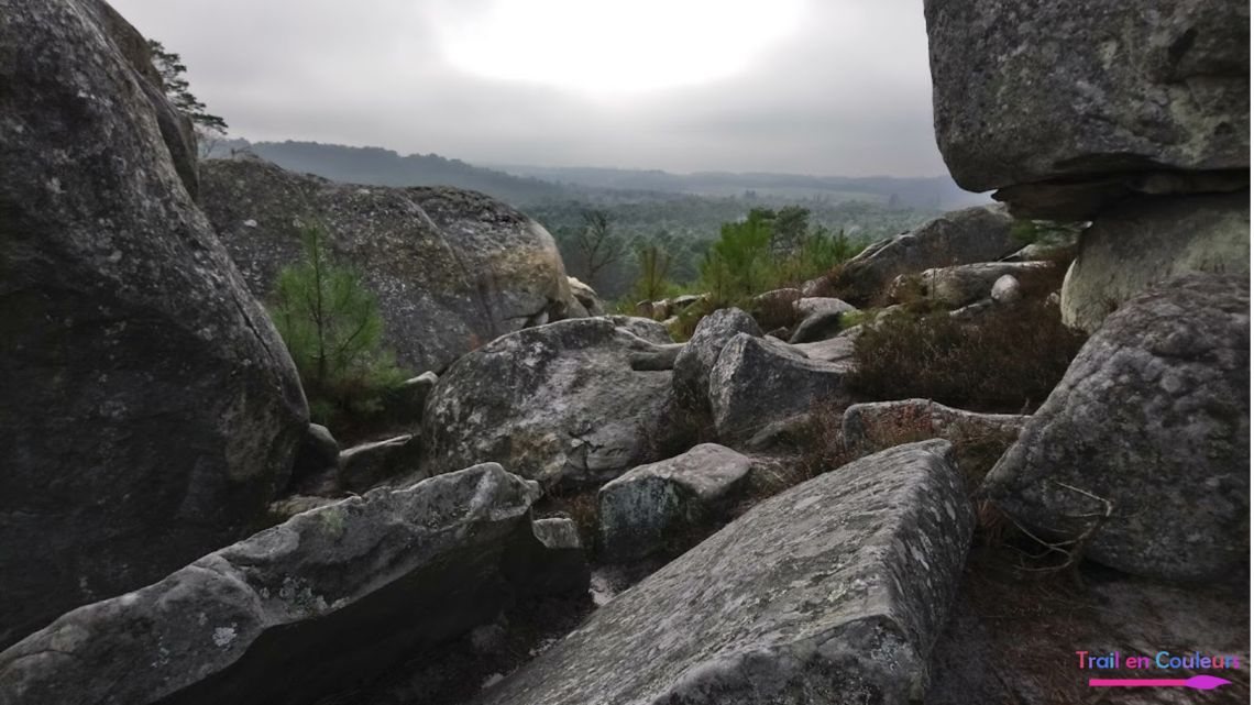 Les 25 bosses de Fontainebleau, entre escalade et trail